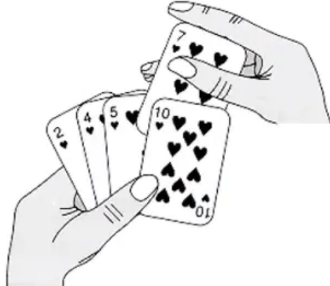 Clip_2024-02-13_11-35-11.png ##w400##