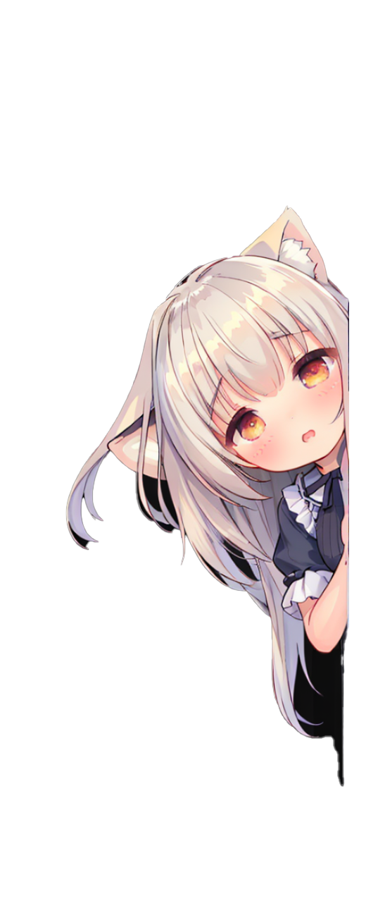 左猫娘